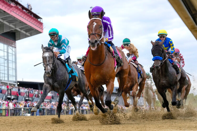Iron Honor opens as Preakness favorite